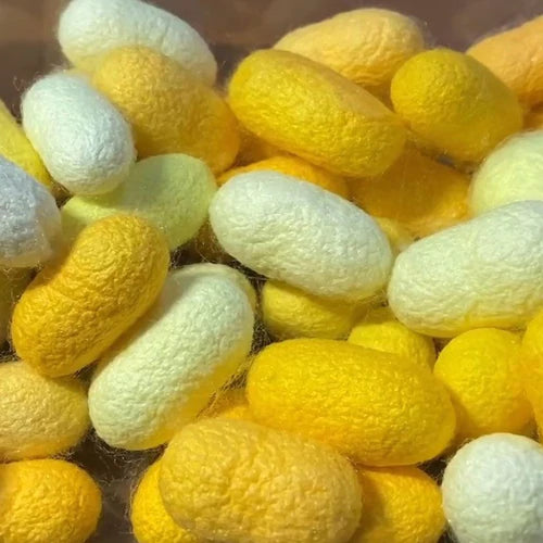 Mulberry Silk Production, Morphology, Properties and Uses