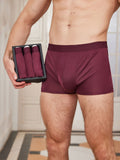 SilkSilky UK Silk Knitted Mens Underwear Wine 001