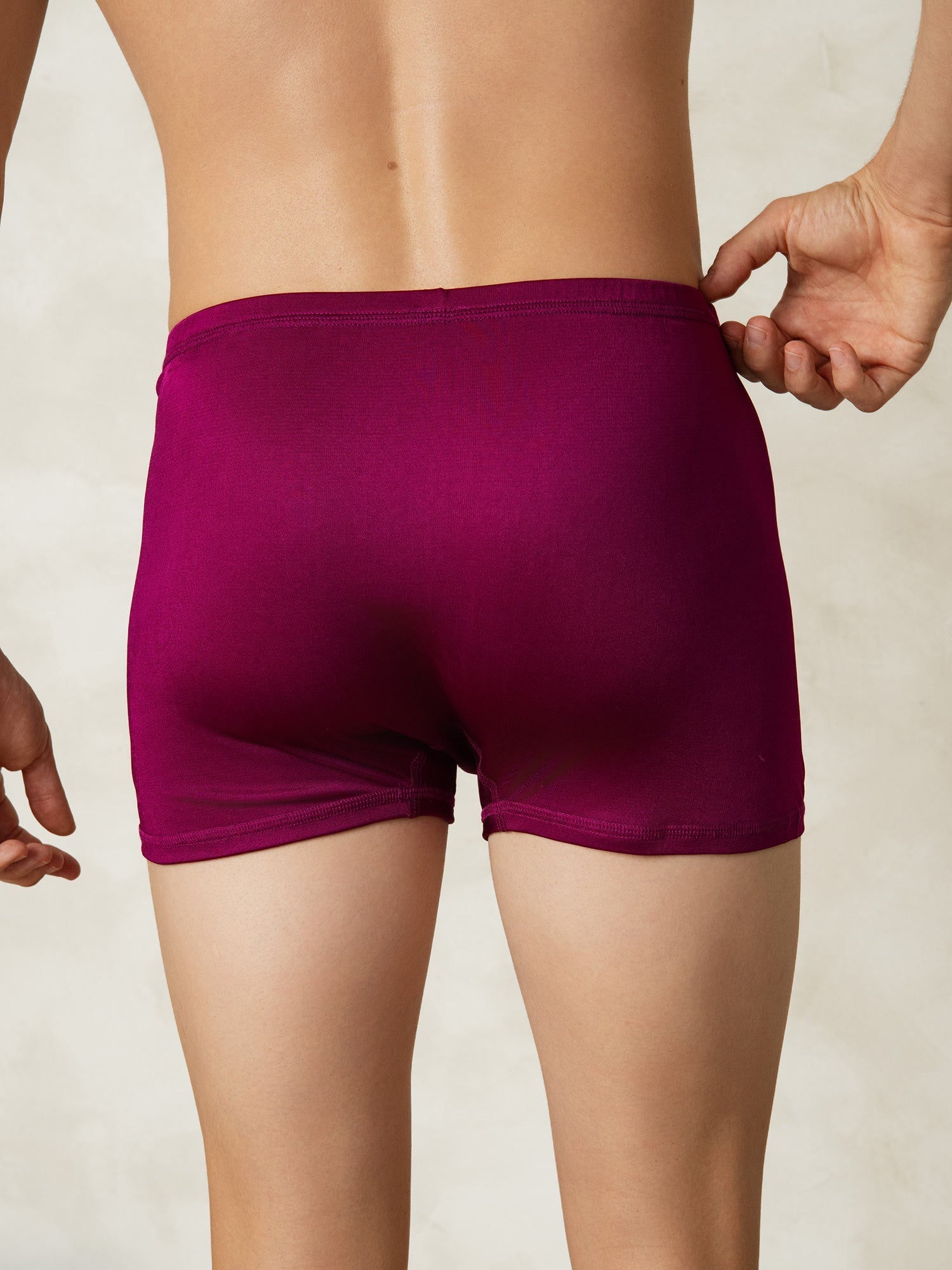 [Wine] SilkSilky-UK Silk Knitted Mens Underwear 002