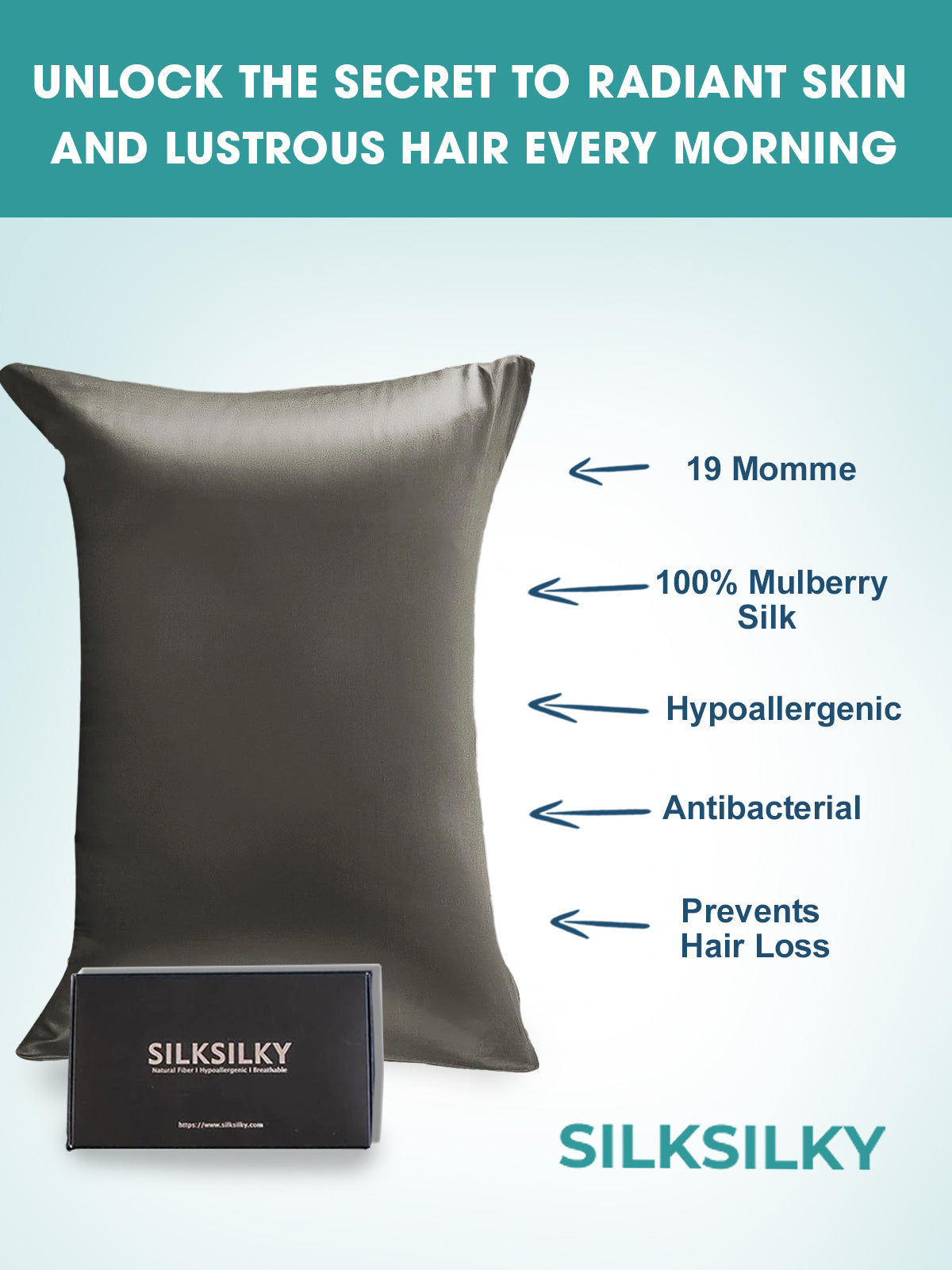 SilkSilky-UK 19Momme Pure Silk Pillowcase DarkGray 002