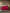 [Wine] SilkSilky-UK 19Momme Pure Silk Bedding Set 002