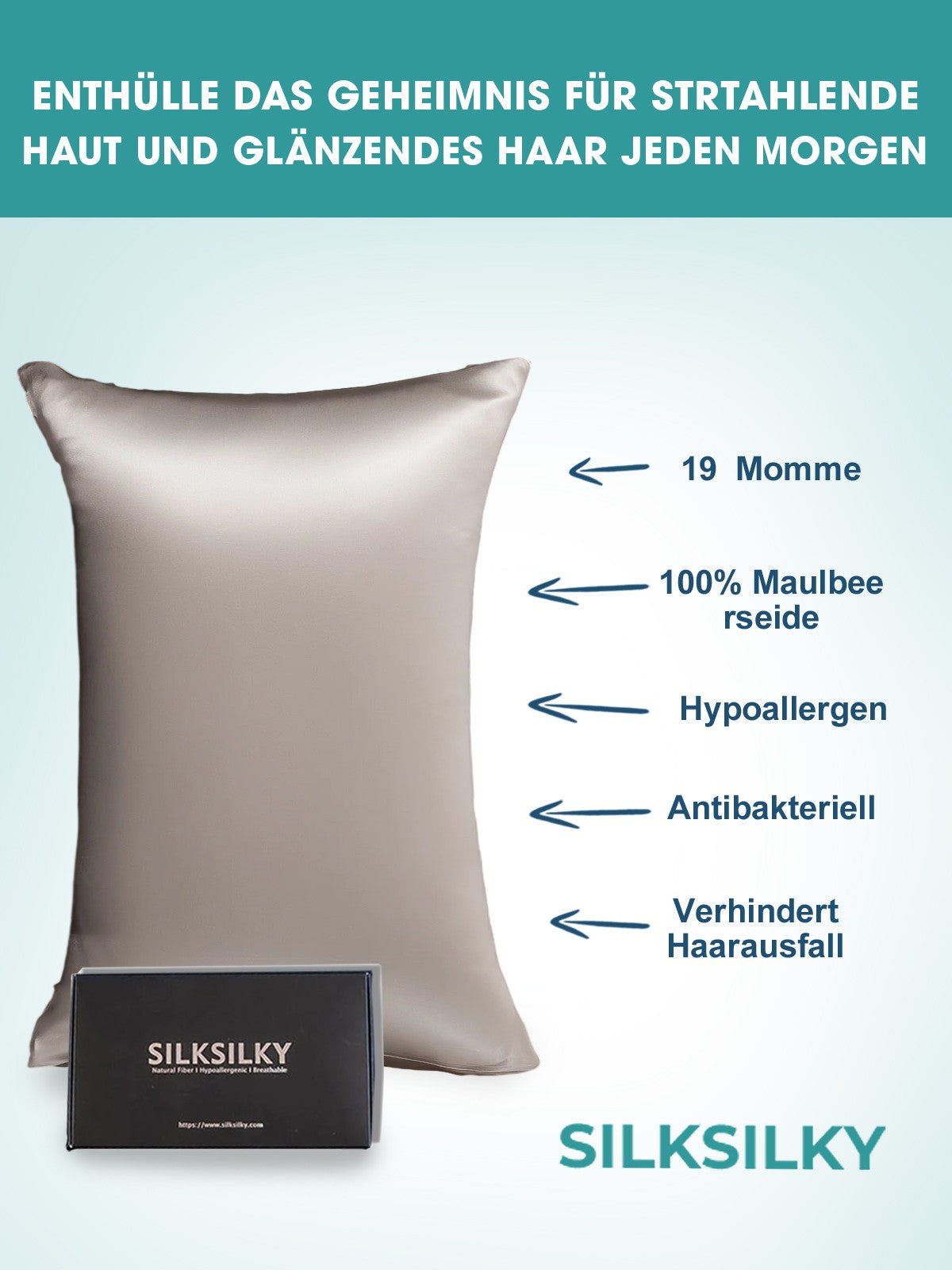 [Gray] SilkSilky-UK 19Momme Pure Silk Pillowcase 002