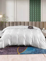 [Silver] SilkSilky-UK 25Momme Duvet Covers 002