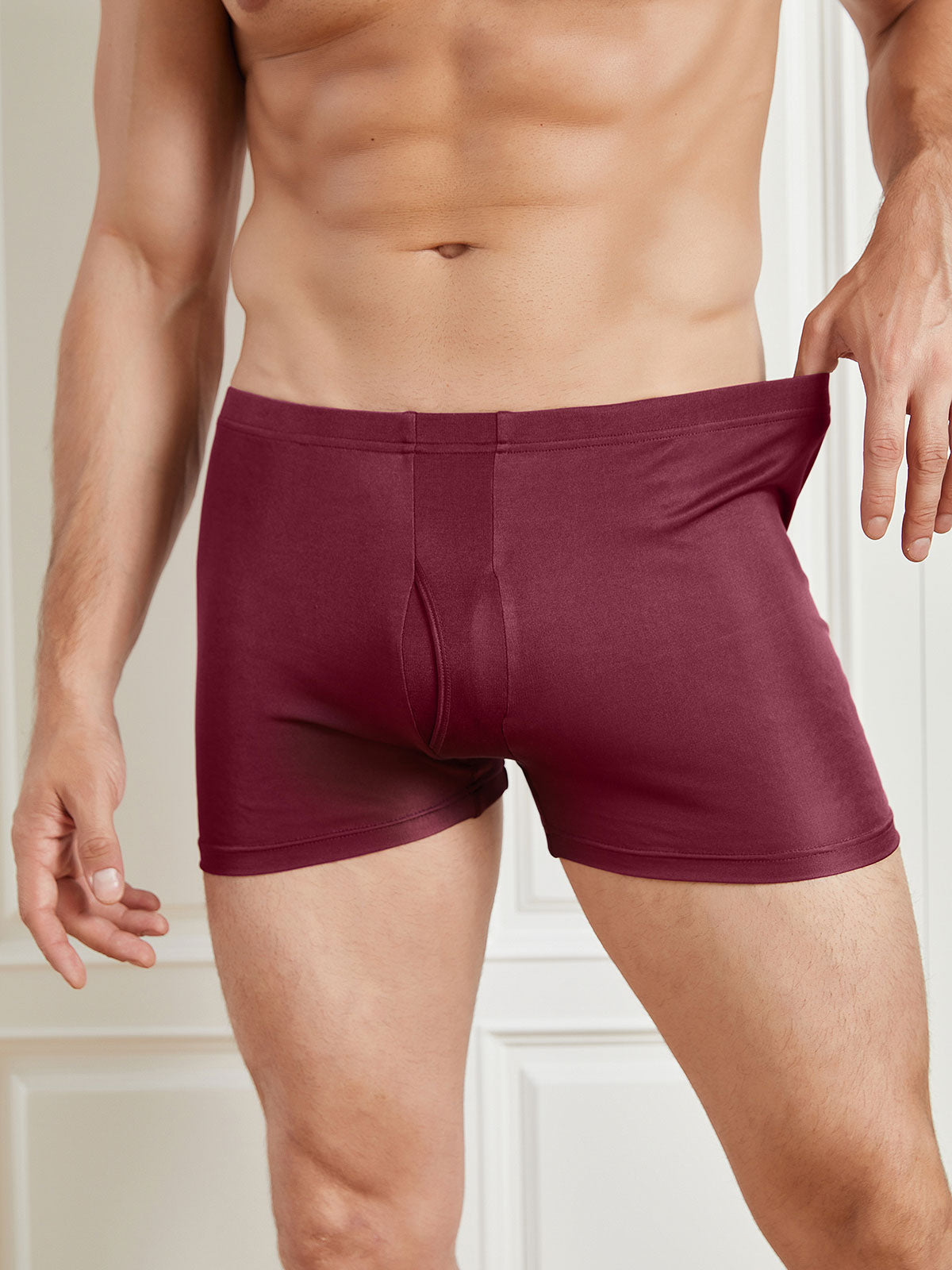 [Wine] SilkSilky-UK Silk Knitted Mens Underwear 004