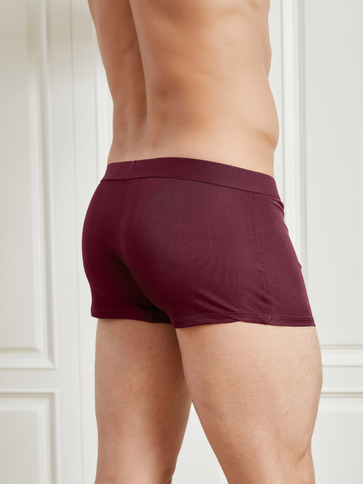 SilkSilky UK Silk Knitted Mens Underwear Wine 002