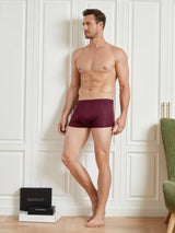 [Wine] SilkSilky-UK 100% Silk Jersey Men's Underwear 006