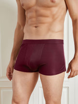 [Wine] SilkSilky-UK 100% Silk Jersey Men's Underwear 003