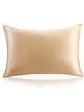 SilkSilky UK 22Momme Pure Silk Pillowcase Set Champagne 002