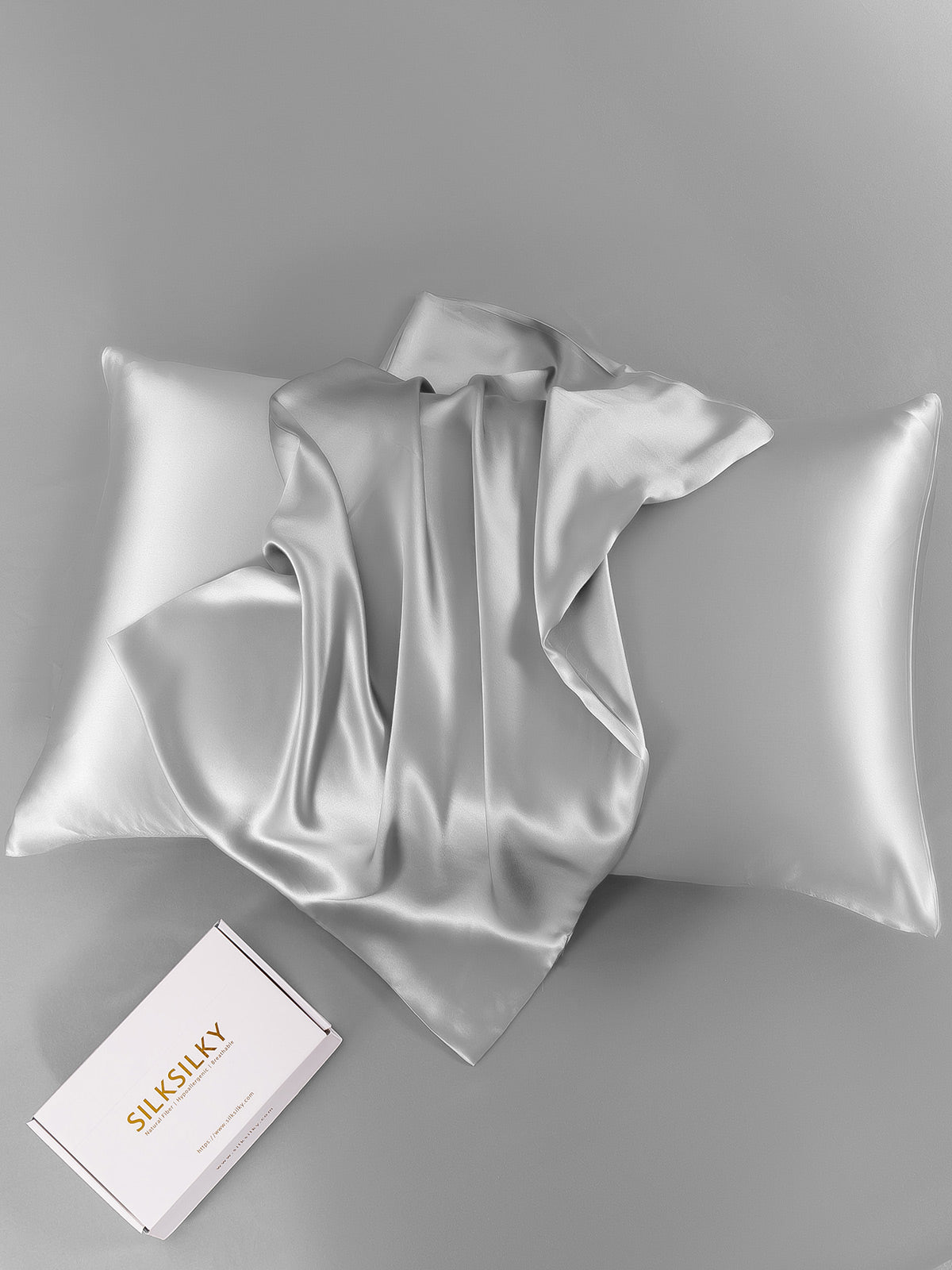 SilkSilky UK 22Momme Pure Silk Pillowcase Silver 001