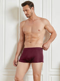 SilkSilky UK Silk Knitted Mens Underwear Wine 001