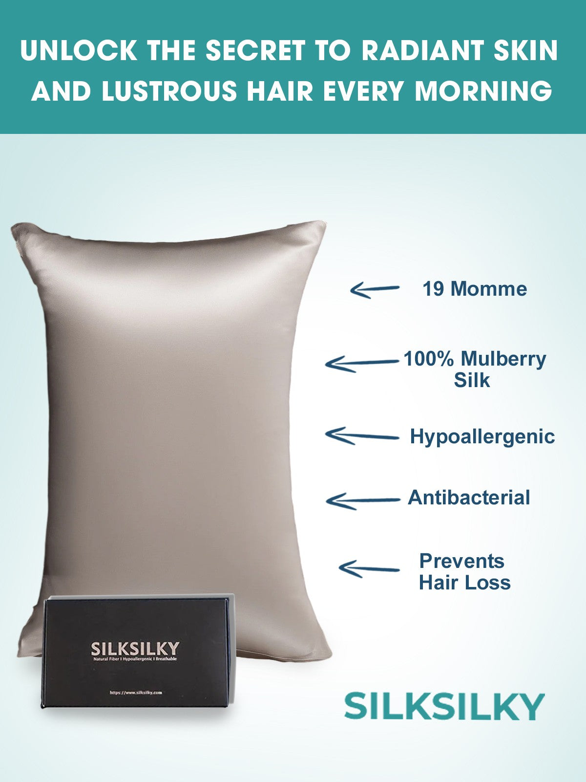 [Gray] SilkSilky-UK 19Momme Pure Silk Pillowcase 003