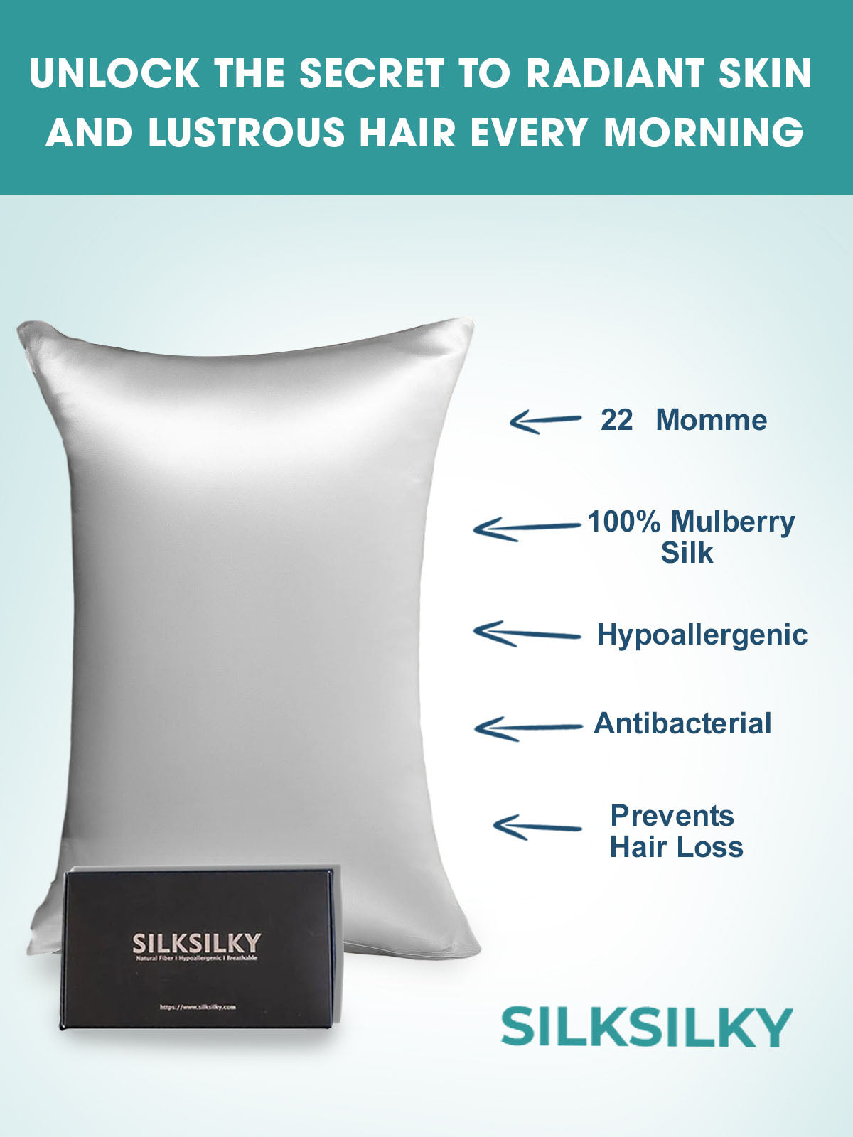 [Silver] SilkSilky-UK 22Momme Pure Silk Pillowcase 003