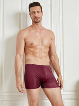 [Wine] SilkSilky-UK 100% Silk Jersey Men's Underwear 003