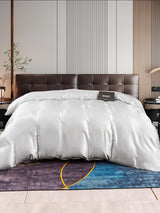 [Silver] SilkSilky-UK 22Momme Duvet Covers 001