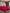 [Wine] SilkSilky-UK 19Momme Pure Silk Bedding Set 001