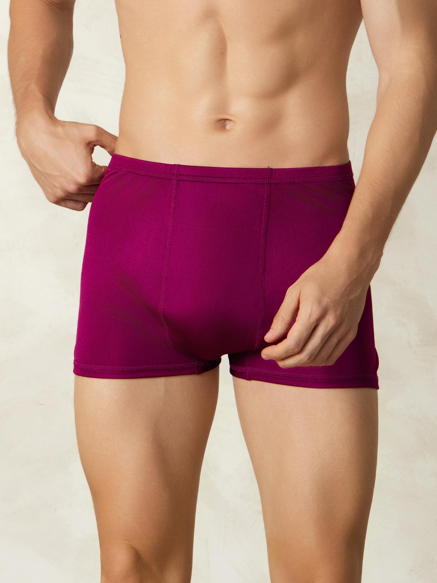 [Wine] SilkSilky-UK Silk Knitted Mens Underwear 003