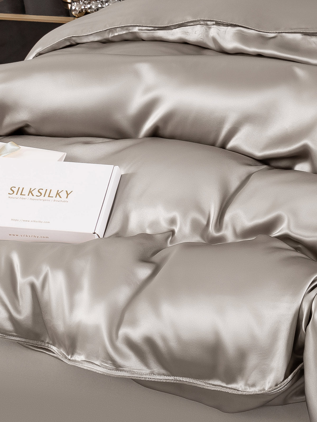 [Gray] SilkSilky-UK 19Momme Pure Silk Duvet Cover 005