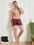 SilkSilky UK Silk Knitted Mens Underwear Wine 003