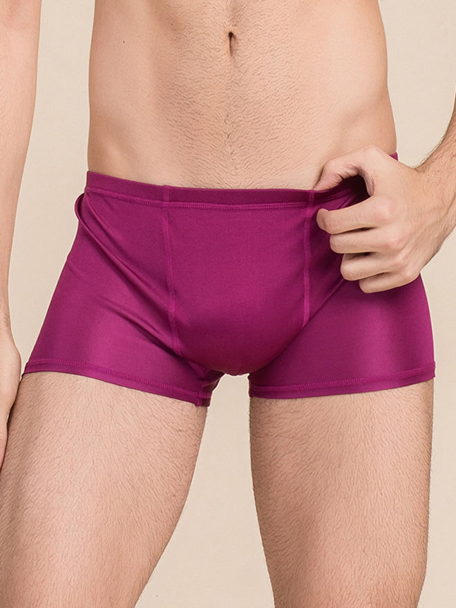 [Wine] SilkSilky-UK Silk Knitted Mens Underwear 001