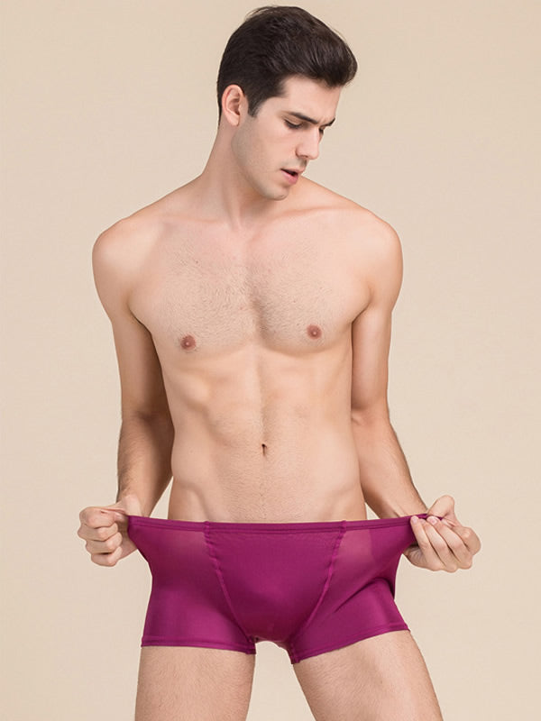 [Wine] SilkSilky-UK Silk Knitted Mens Underwear 003